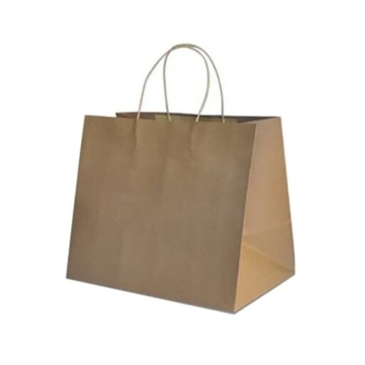 Twist Handle Kraft Paper Bags