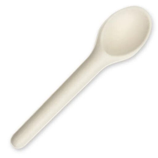 Sugarcane Pulp Plant Fibre Spoon