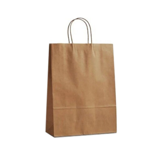 Twist Handle Kraft Paper Bags